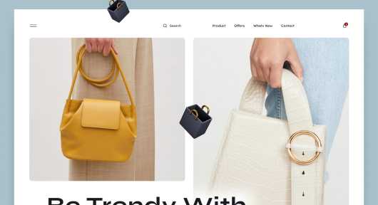 Ecommerce Web Design