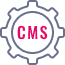 Content Management Systems (CMS)